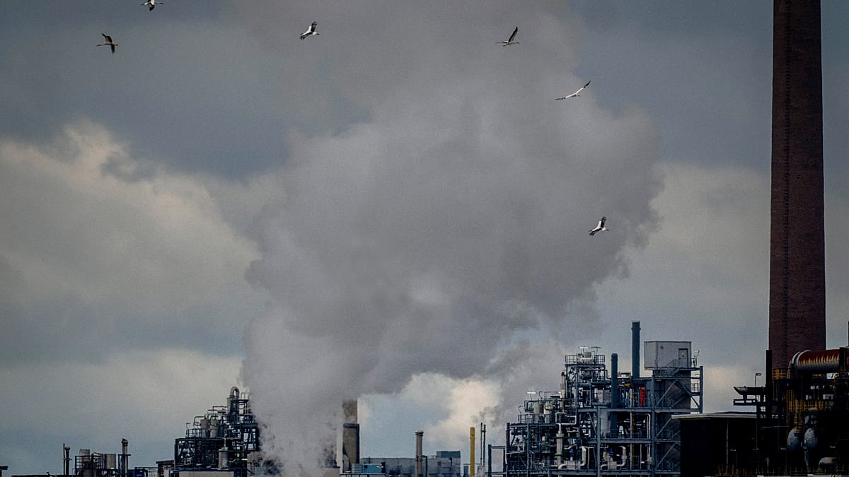 Немецкий химический гигант BASF повышает прогноз прибыли после роста цен из‑за войны с Ираном